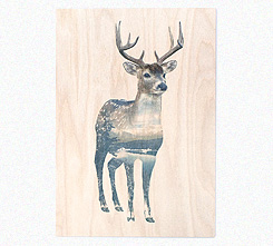 Faunascapes Plywood Print Deer