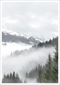 Faunascapes Art Print Pine View