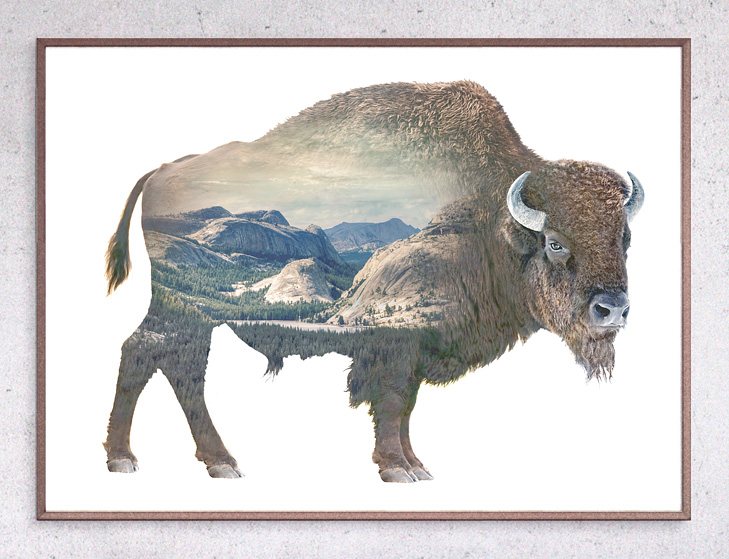 Faunascapes Buffalo Limited Edition Print