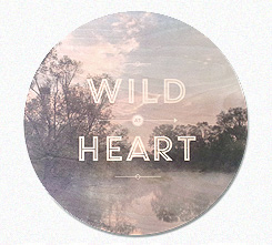 Faunascapes Plywood Print Wild at Heart