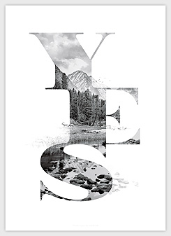 Faunascapes Poster YES