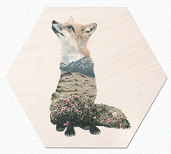 Faunascapes Plywood Print Fox