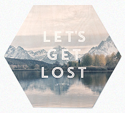 Faunascapes Plywood Print Lost