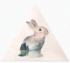 Faunascapes Plywood Print Rabbit
