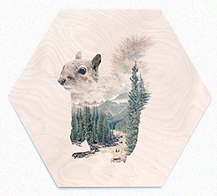 Faunascapes Plywood Print Owl