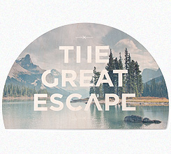 Faunascapes Plywood Print Escape