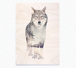 Faunascapes Plywood Print Escape