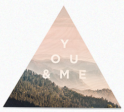 Faunascapes Plywood Print Bear