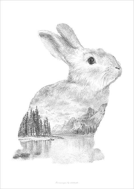 Taste of Art | Full Process drawing of a Bunny with gif — Steemit