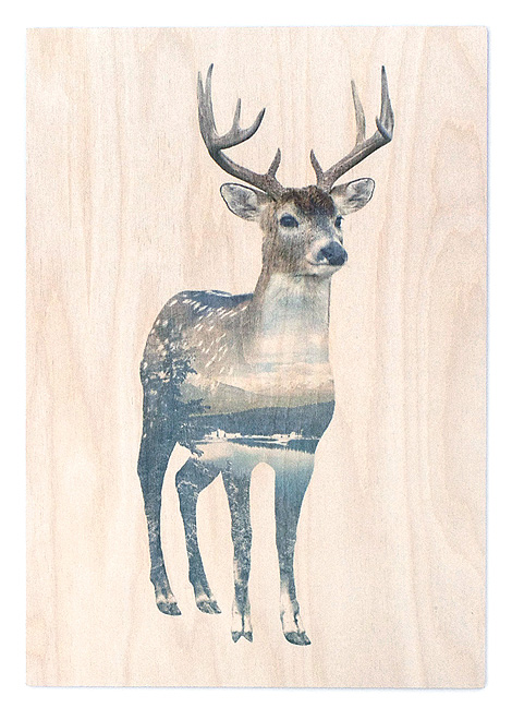 Faunascapes Deer - Animal Plywood Print / Art Board