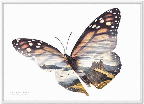 Faunascapes Butterflies Call of The Wild